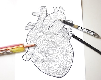 cuore anatomico intricato colorare adulti regalo divertente zentangle