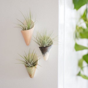 Tiny Ceramic Magnet Planter by Carter + Rose