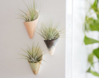 Tiny Ceramic Magnet Planter by Carter + Rose