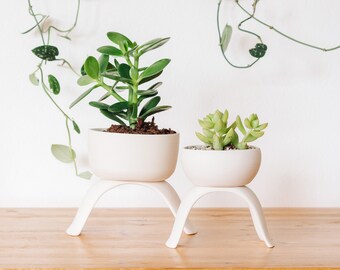 High Rise Shallow Planter by Carter + Rose