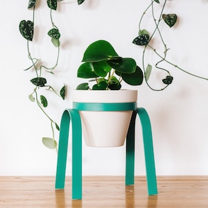 Puede incluir: Una maceta de cerámica blanca con un soporte de metal turquesa. La maceta está llena de una planta verde de hojas.