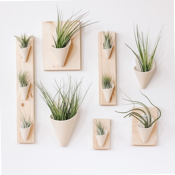Modern Sprout - Large Ceramic Wall Planter Pistachio / With plant