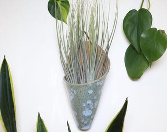 May include: A cone-shaped ceramic wall planter with a speckled light blue and white glaze. The planter holds a cluster of thin, spiky, light green air plant leaves. The ceramic surface features a mottled texture with darker blue spots.
