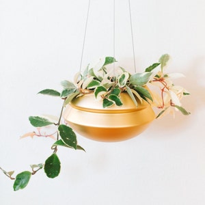 May include: A gold hanging planter with a leafy green plant with white variegation. The plant is trailing down from the planter.