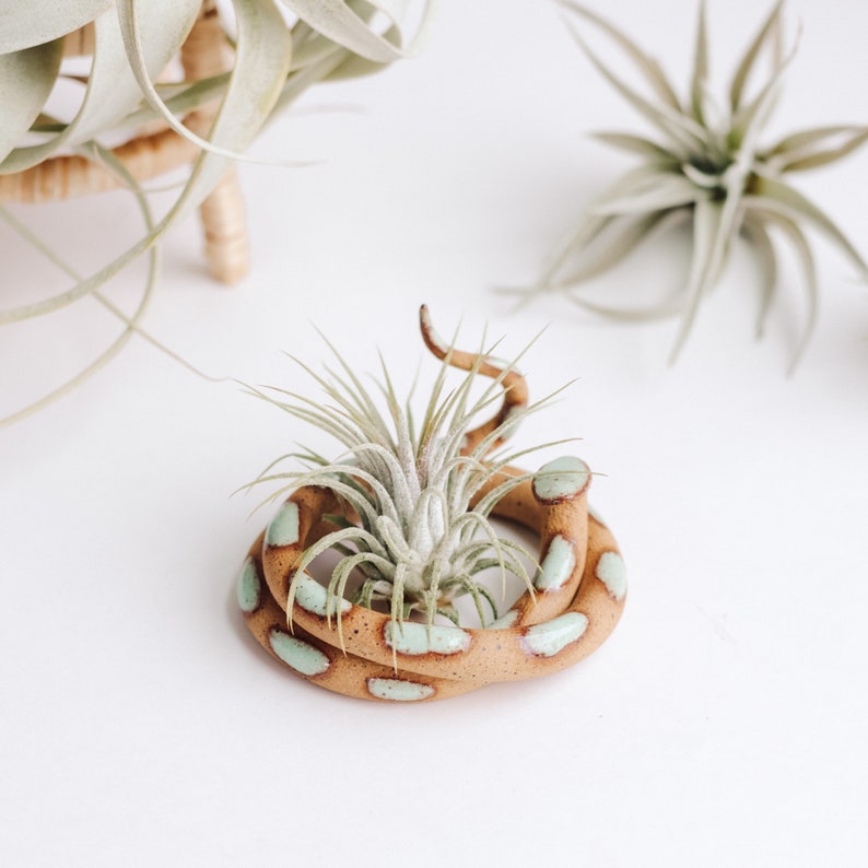 Ceramic Snake by Carter & Rose Medium selma