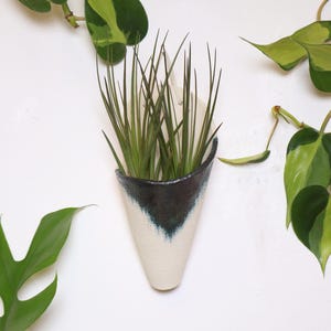 May include: A cone-shaped ceramic wall planter with a textured off-white base and a dark blue-black glazed rim. The planter holds a cluster of thin, upright green air plant leaves, creating a sharp contrast between the dark glaze and light clay.
