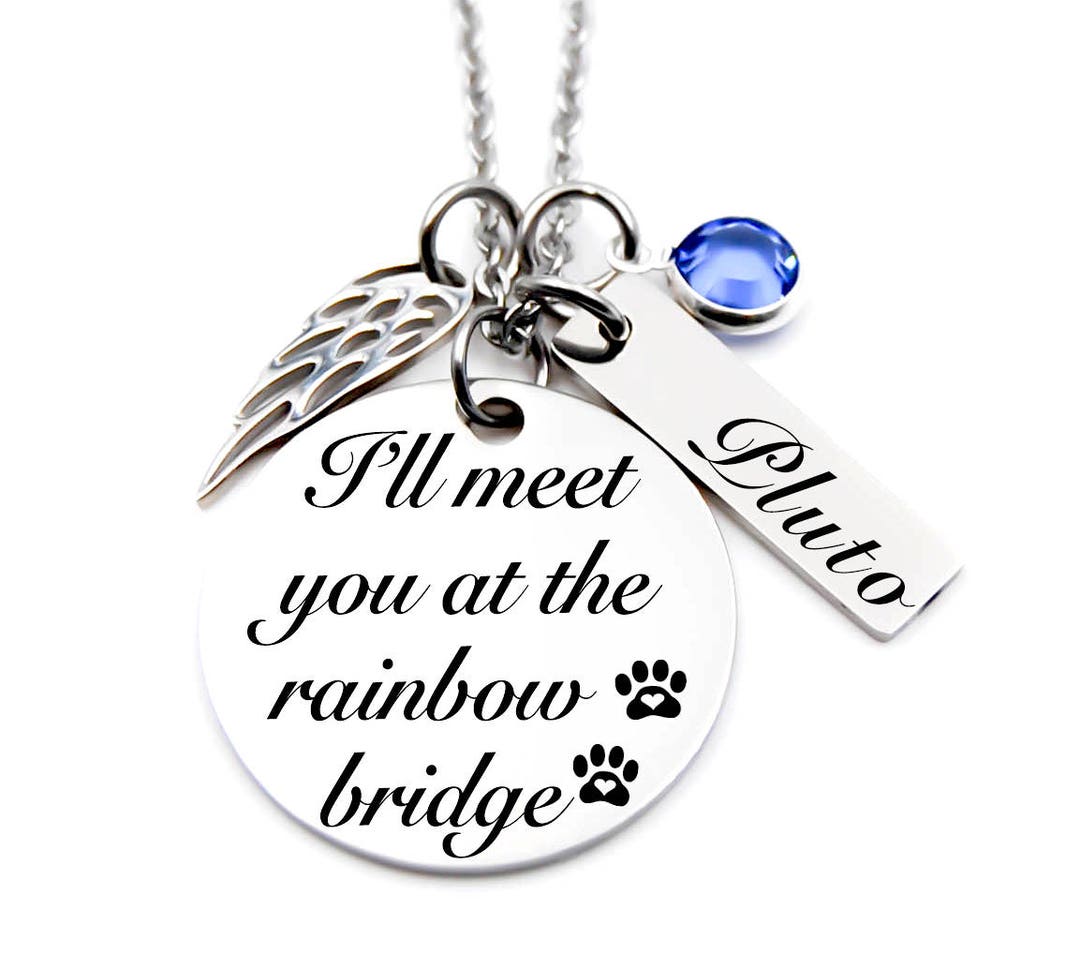 Pet Memorial Pet Memorial Necklace I'll Meet You at the Etsy