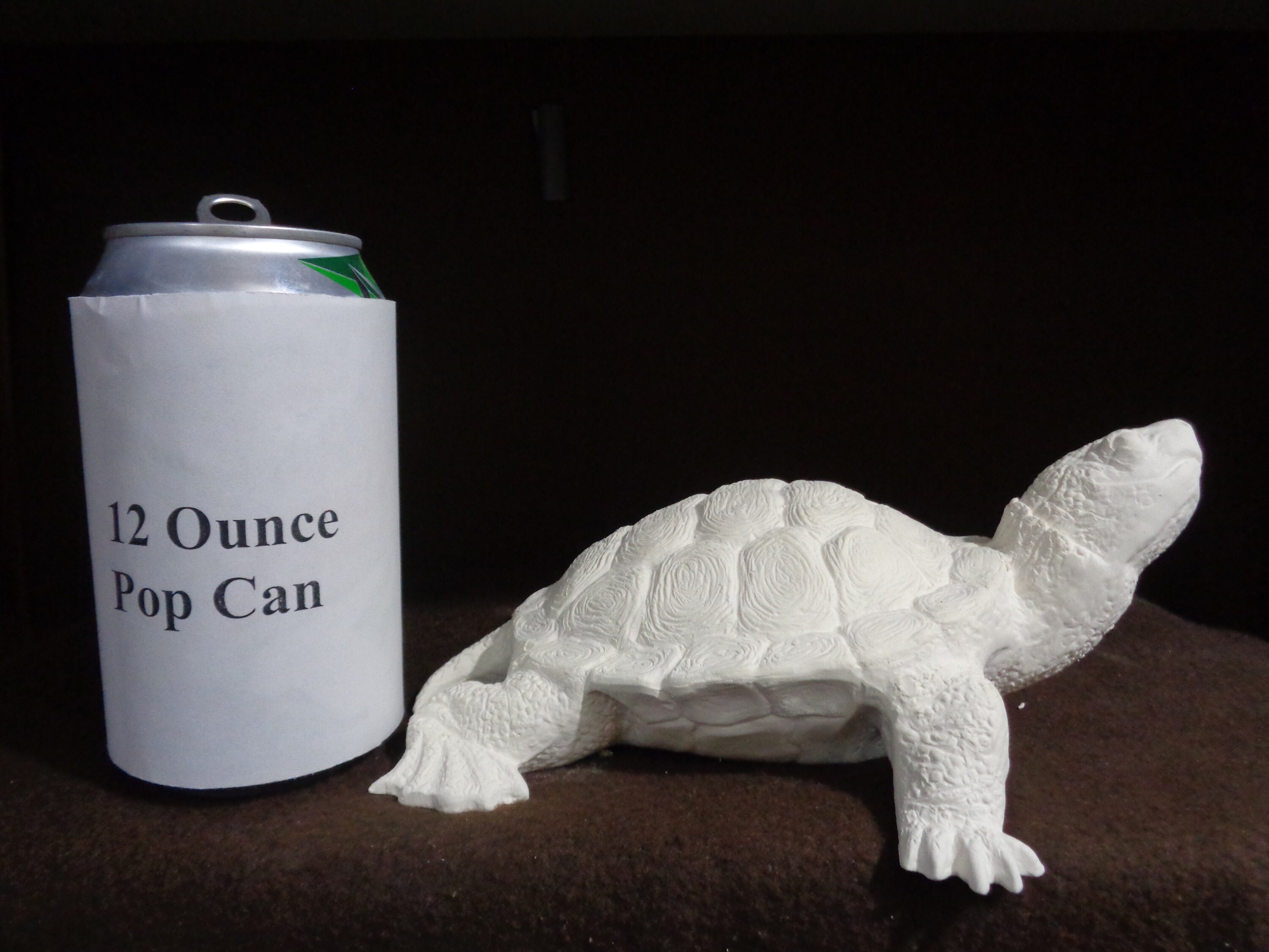 Amazon.com: Aquabella Tile: Turtle Series