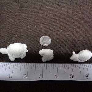 Ceramic Bisque Miniature Snail, Frog & Turtle (3/4" - 2" Tall or Long)  - C706