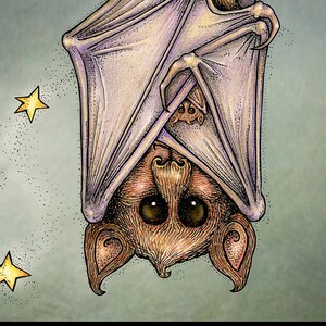 May include: A purple bat with brown fur hangs upside down from a tree branch against a starry night sky. The bat has large, round eyes and a crescent moon is visible in the background.