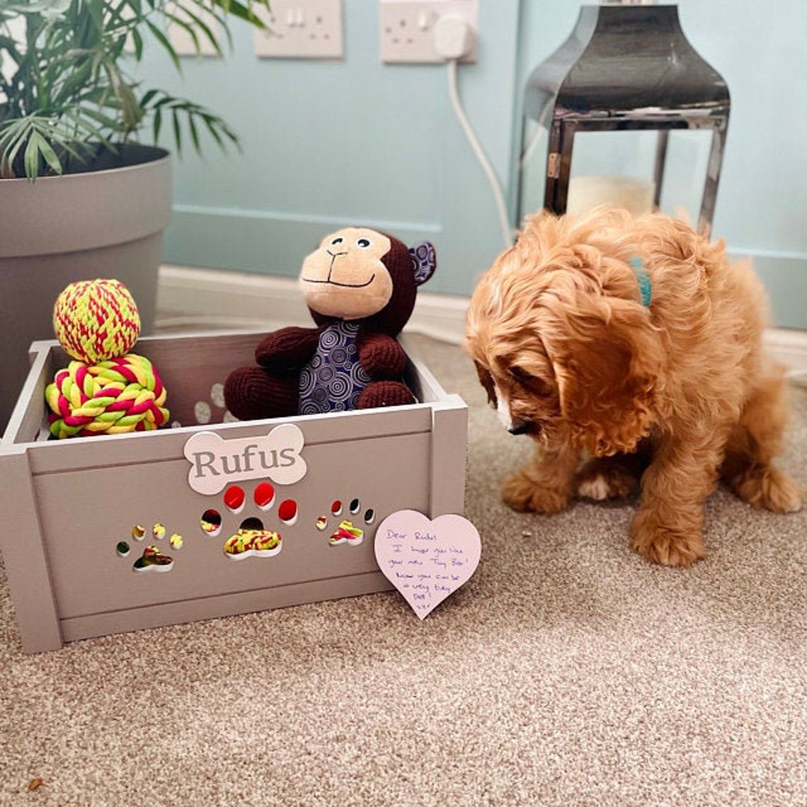 Small Pet storage boxcustom dog toy box personalised dog Etsy