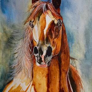 Certificato di autenticità Arte originale Castano rosso zenzero Cavallo arabo ritratto realismo animale A3 pittura ad acquerello su carta