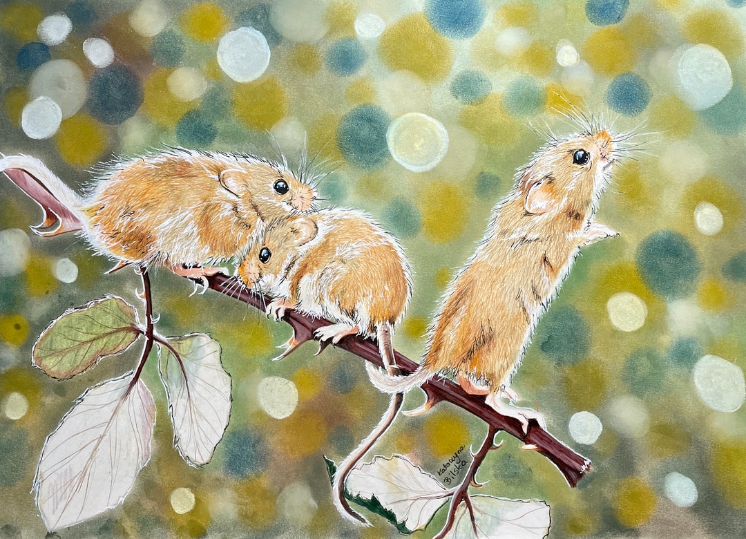 Mice on Field Animal Realism A3 Pencil Drawing on Paper by Artkaska ...