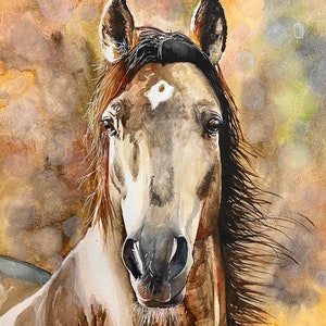 Ritratto di cavallo andaluso pura raza espanola realismo animale A3 acquerello su carta di ArtKaska