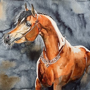 COA arte originale Ritratto di cavallo arabo realismo animale A3 pittura ad acquerello su carta di ArtKaska