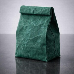 Bolsa de almuerzo de lona encerada, bolsa de almuerzo para el trabajo, bolsa de almuerzo reutilizable, bolsa de almuerzo ecológica, regalo hecho en Canadá imagen 13