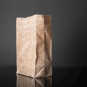 Bolsa de almuerzo de lona encerada, bolsa de almuerzo para el trabajo, bolsa de almuerzo reutilizable, bolsa de almuerzo ecológica, regalo hecho en Canadá imagen 10