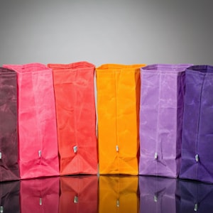Waxed Canvas Lunch Bag, Bridesmaid gift, Reusable Lunch Sack, Minimalist Lunch Tote, Canadian Made image 1