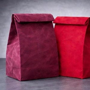 Waxed Canvas Lunch Bag, Bridesmaid gift, Reusable Lunch Sack, Minimalist Lunch Tote, Canadian Made image 13