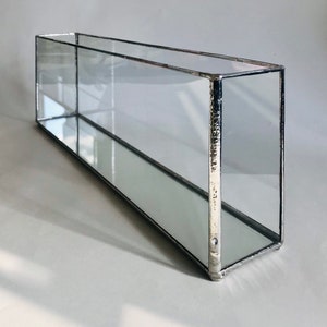 Può includere: Un terrario rettangolare in vetro con una cornice in metallo argentato. Il terrario ha una base e lati in vetro trasparente e una parte superiore in metallo argentato.