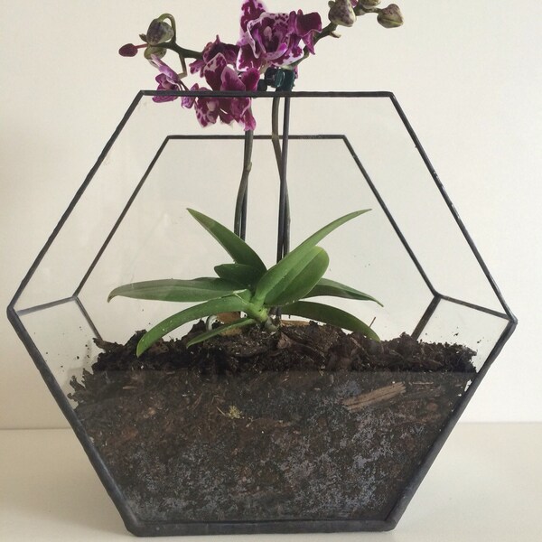 Art Deco style glass terrarium, wedding decoration, candle holder, geometric planter glass hexagon planter, Mother’s Day gift, orchid pot