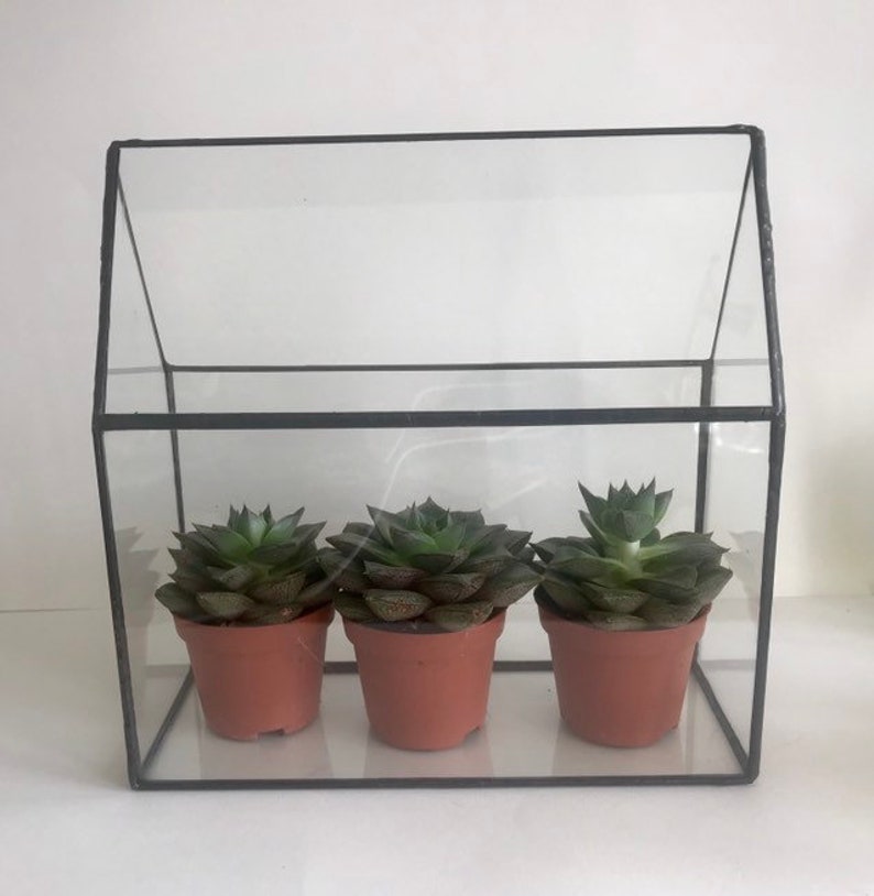 Glass greenhouse for cactus house terrarium house wall Etsy