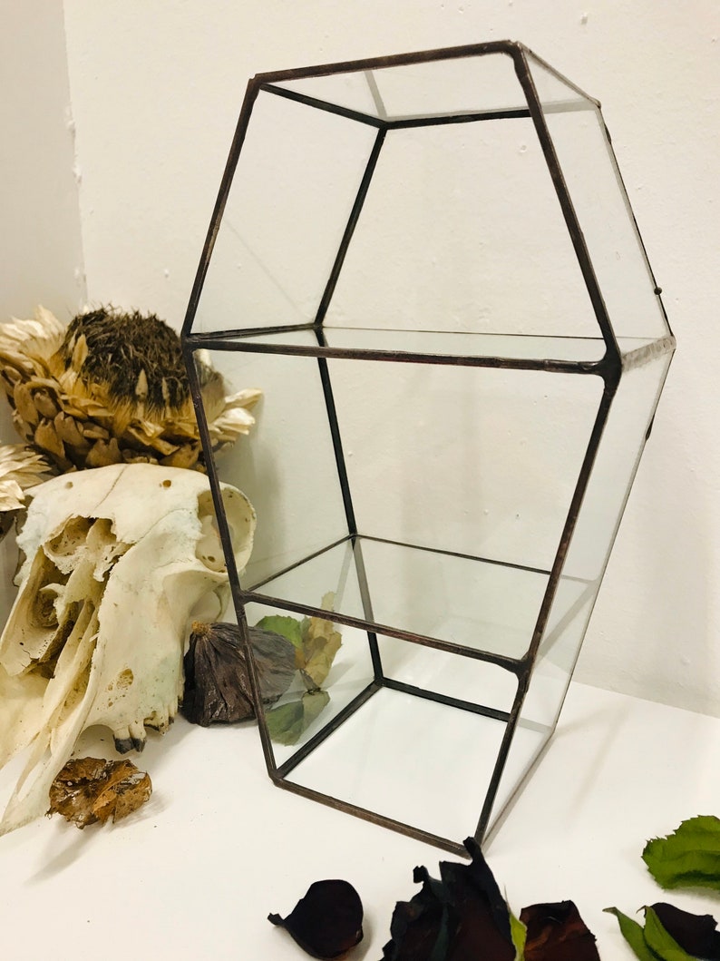 Estantería gótica con forma de ataúd para decoración de hogar gótico. Estantería de cristal para objetos curiosos. Exhibición de ataúdes, decoración de Halloween, regalo extraño e inusual.