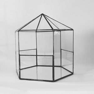 Glass terrarium, indoor garden, wedding decoration, geometric terrarium, minimalist home decor, glass hexagon planter, new home gift