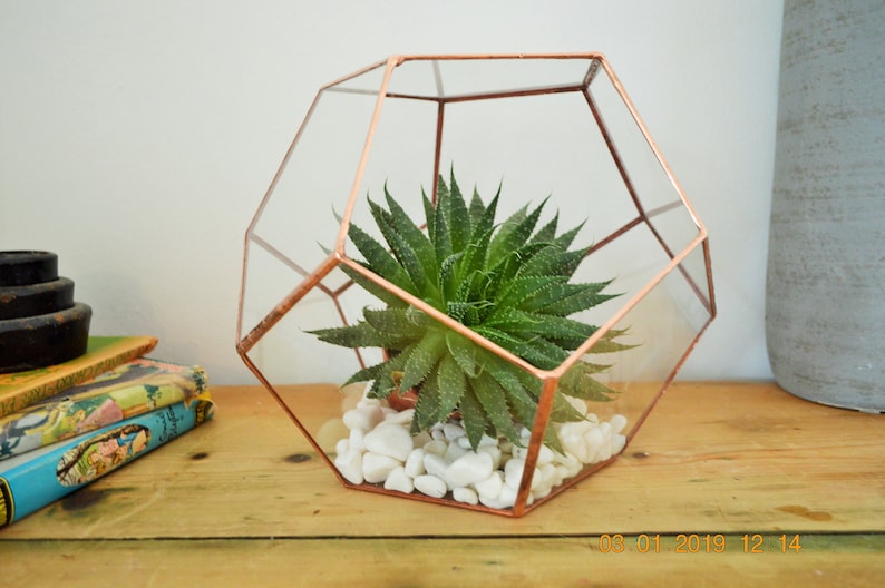 Terrarium Glass Terrarium Copper Wedding Centrepiece for Etsy UK
