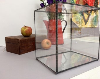 Glass display box for collections, sculpture and taxidermy.
