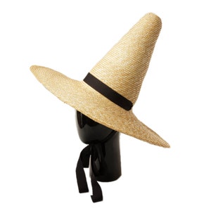 Elegant, pointed, potted straw hat, wizard hat, wizard hat, sun hat