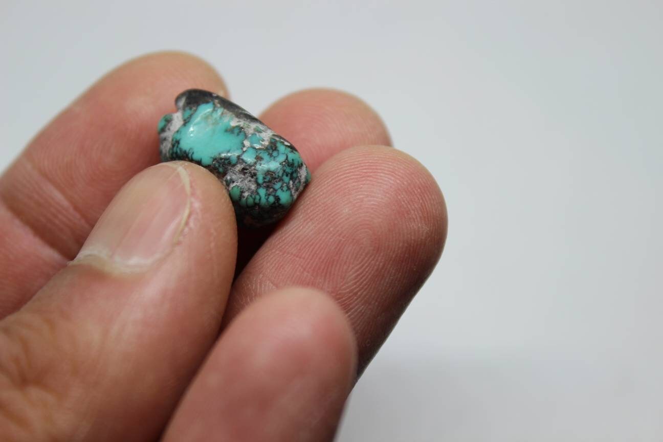 Turquoisetibet - #500