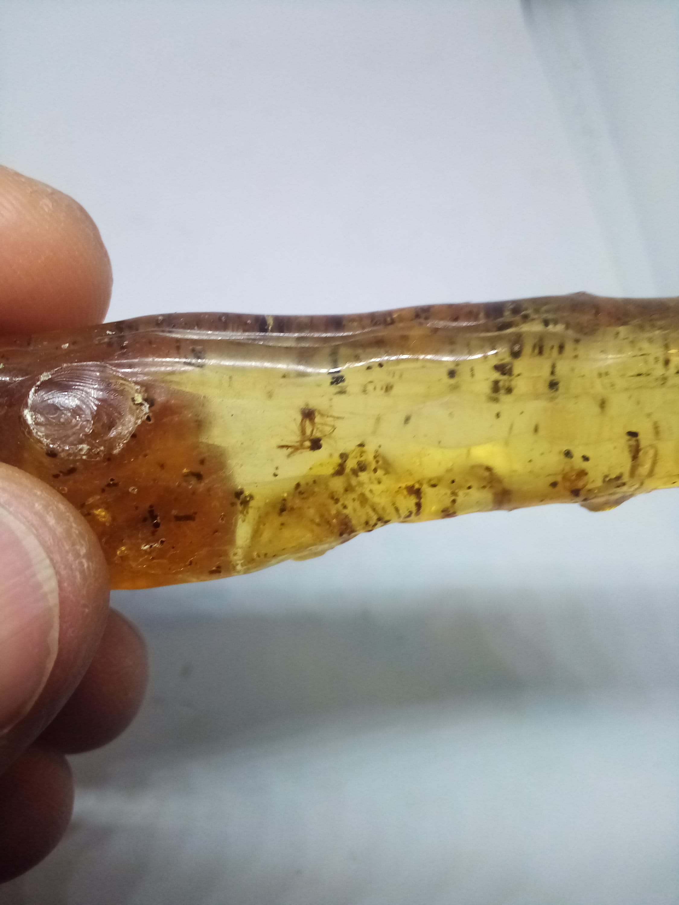 Resine Fossile de Copal - Jeune Ambre avec Insectes Madagascar- Piece Collection #769