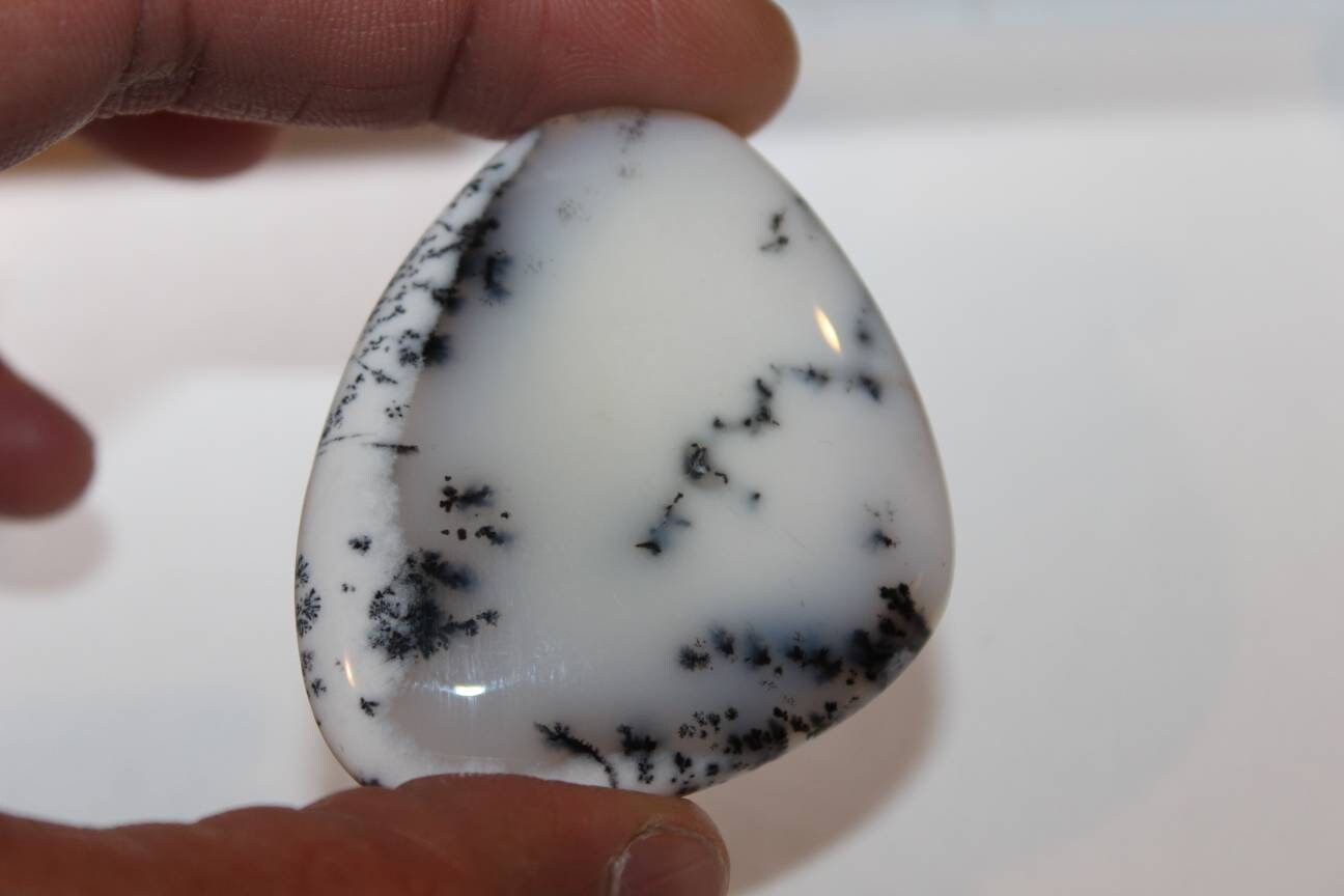 Opale Dendritique - Merlinite #482