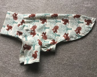 Ready to post - Squirrel top for medium Italian greyhound or pup