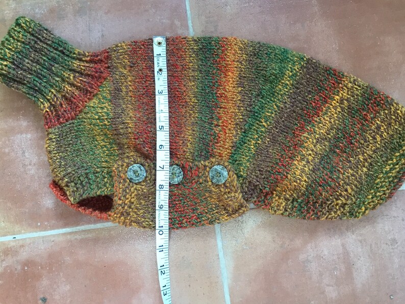 Ready to post Small whippet jumper in autumn colours