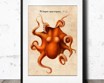 Antique Octopus Art Nautical Print - Vintage Ocean Sealife Litograph, Aquatic Illustration Wall Decor - Instant Digital Download