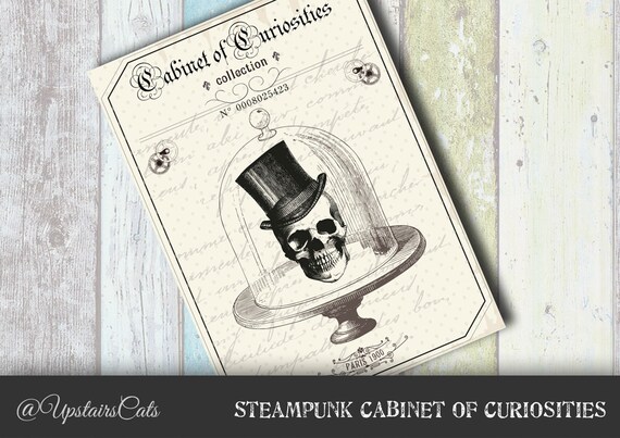 Curiosities Cabinet Series Victorian Steampunk Illustration Etsy