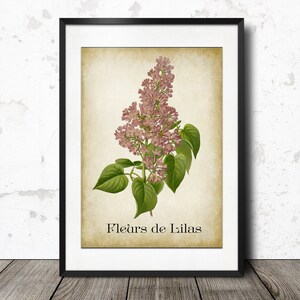 Pink Lilac Flower Vintage French Decor - Fleurs de Lilas - Old French Ephemera Label - Antique Wall Art Instant Digital Download