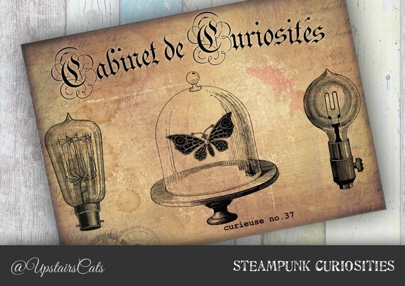 Victorian Steampunk Curiosities Cabinet Illustration Wall Art Etsy