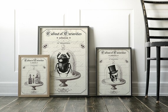 Curiosities Cabinet Series Victorian Steampunk Illustration Etsy