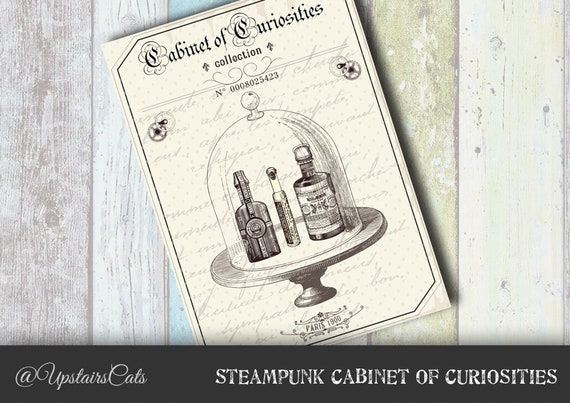 Curiosities Cabinet Series Victorian Steampunk Illustration Etsy