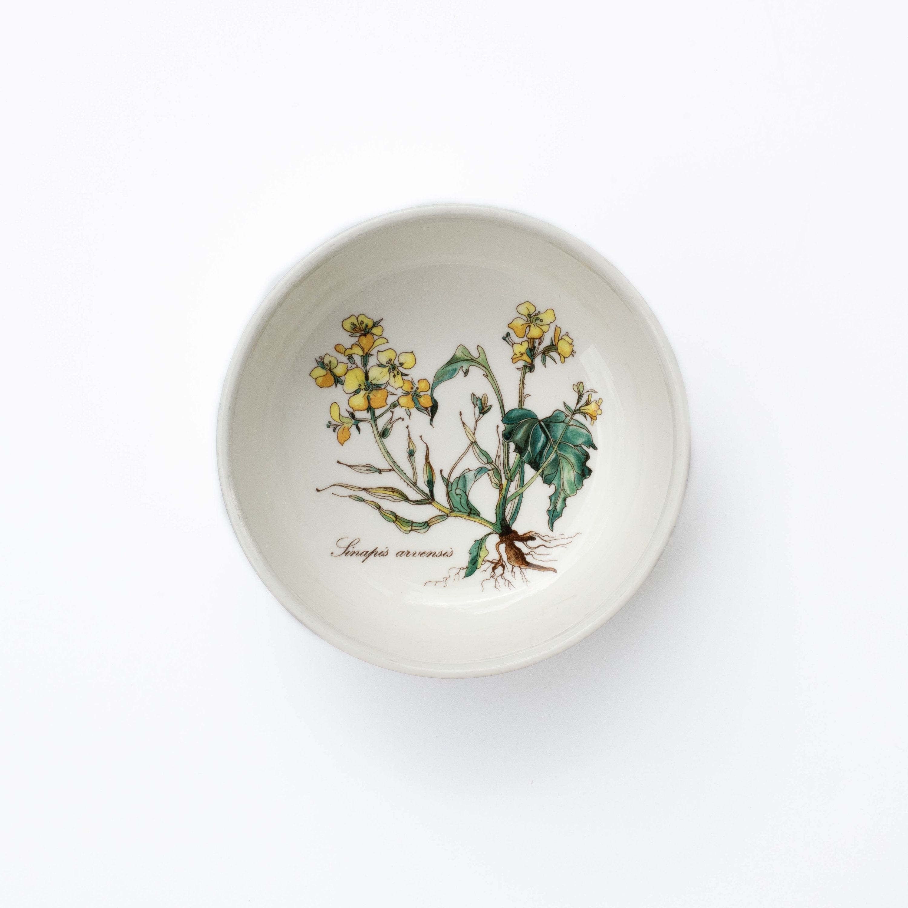 Boch pasadena - Etsy 日本