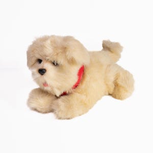 Puede incluir: Un perro de peluche en posición de reposo. El perro tiene un pelaje suave de color beige claro, una nariz negra y un collar rojo. El perro de juguete es un animal de peluche, diseñado para parecerse a una raza de perro real.