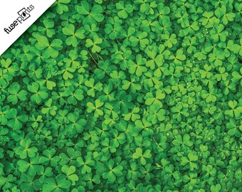 8x6ft Aged Shabby Wooden Plank Backdrop Shamrock Clover Happy Saint Patricks Day Photography Background March 17th Festival Celebration Spring Children Adults Portraits Photo Booth Prop 8x6ft Aged Shabby Wooden Plank Backdrop Shamrock Clover Happy Saint Patricks Day Photography Background March 17th Festival Celebration Spring Children Adults Portraits Photo Booth Prop