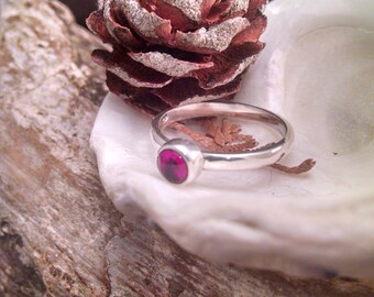 May include: A silver ring with a deep red gemstone set in a simple band. The ring is displayed on a white seashell with a brown pine cone.