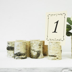 10 Rustic Birch Branch Table Number or Menu Holders, Woodland Eco Friendly Photo Holders, Rustic Wedding Decor