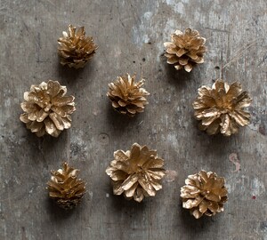 Lot De 20 Pommes De Pin Naturelles Récoltées En France - Pour Décoration Noël, Mariage, Projets DIY - Écologiques, Non Traitées