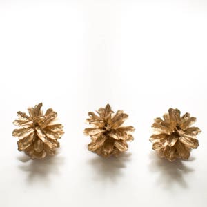 Golden Pine Cones, Natural Pinecones Painted In Gold, Easter Table Centerpiece, Winter Wedding Decor, Vase Bowl Filler
