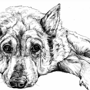 Custom Pet Portrait, Bespoke Pet Portrait, Pet Illustration